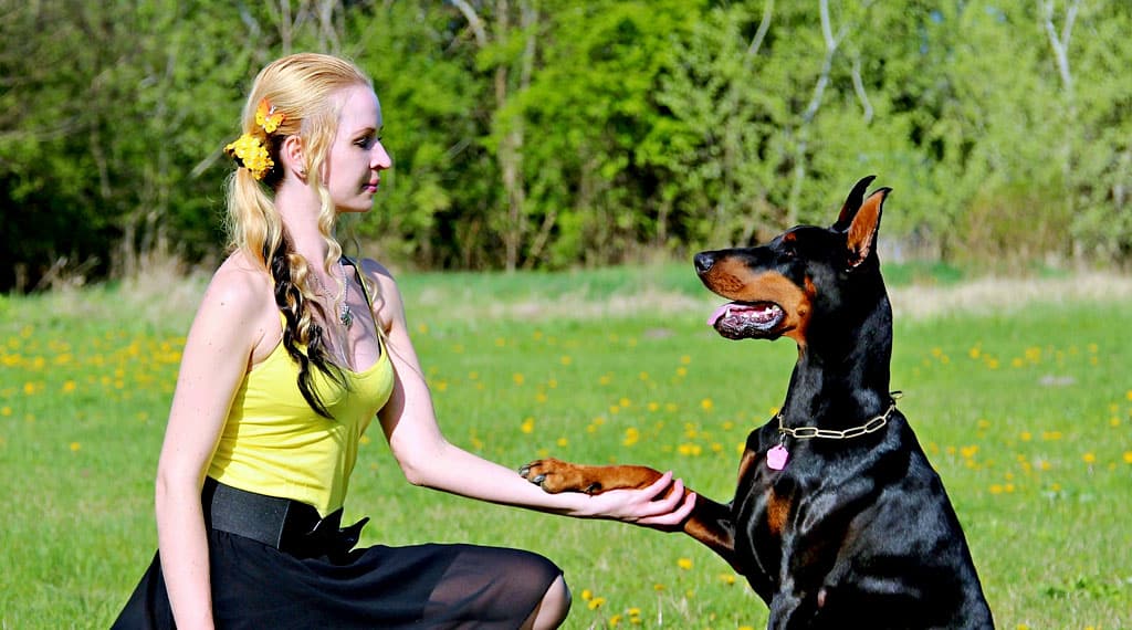 20 Tips for Your Dog Training Blog07 Free Img 2